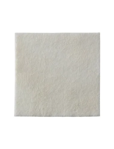 Biatain Alginate Seasorb Comp 5 x 5 cm COLOPLAST